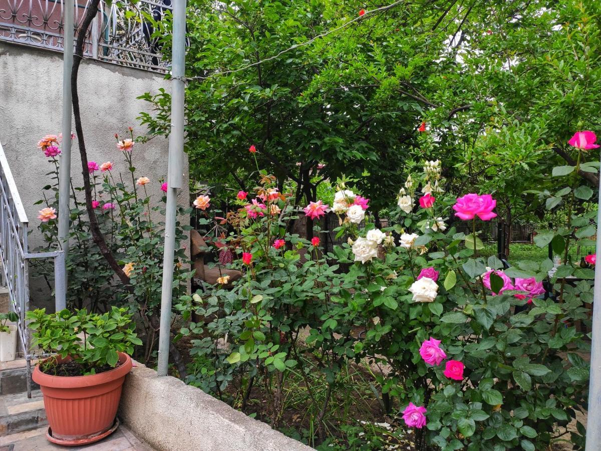 Guesthouse Ttt Tbilisi Exterior foto