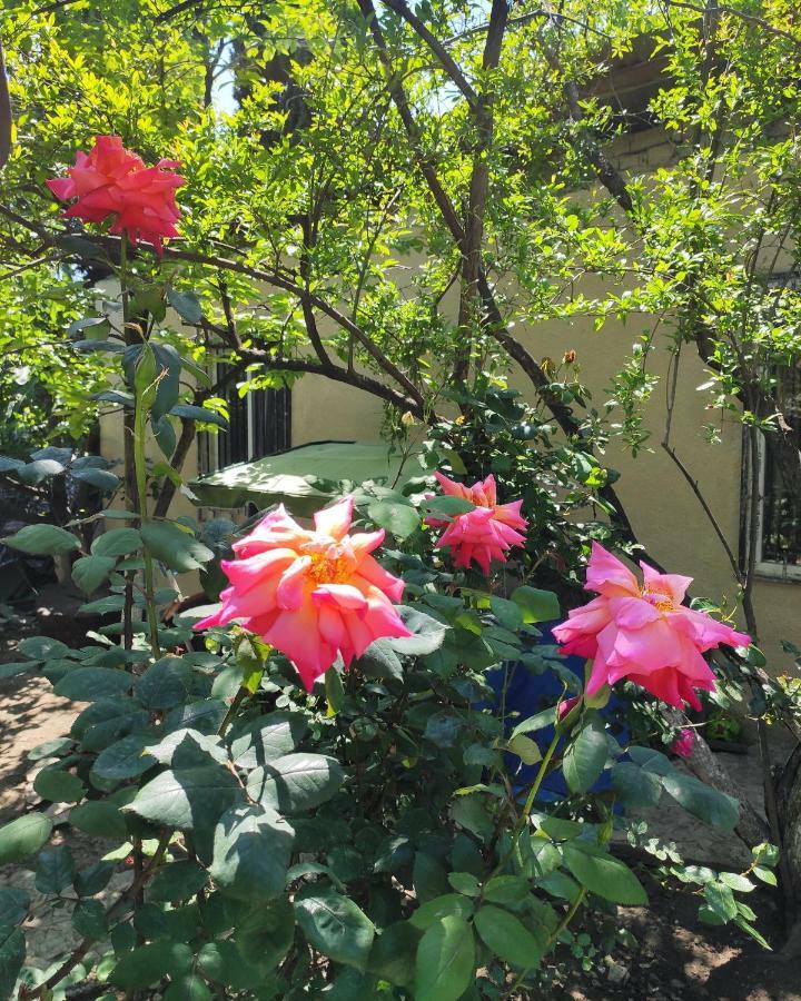 Guesthouse Ttt Tbilisi Exterior foto